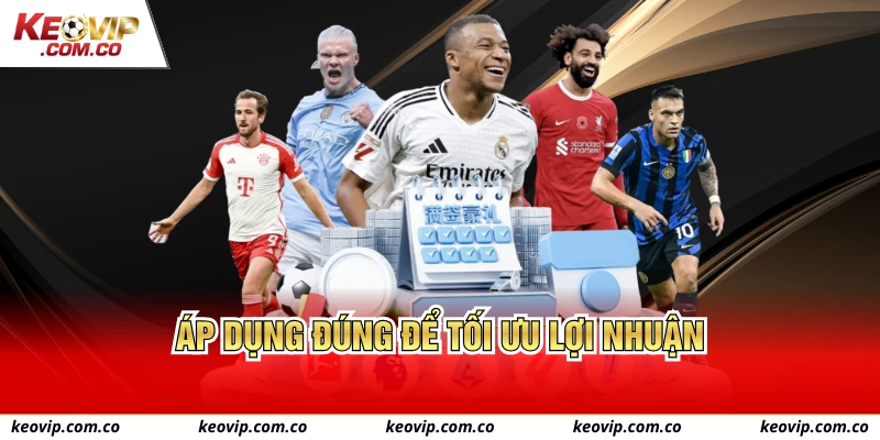 Áp dụng đúng để tối ưu lợi nhuận