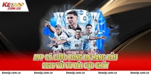 app cá cược bóng đá