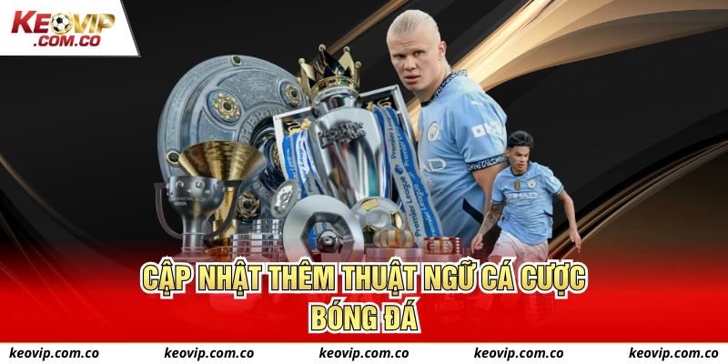 Cập nhật thêm thuật ngữ cá cược bóng đá