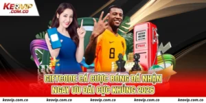 giftcode cá cược bóng đá