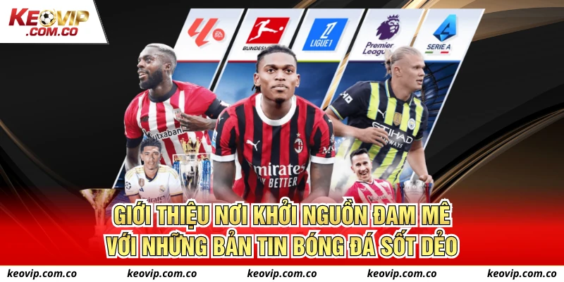 Giới thiệu nơi khởi nguồn đam mê với những bản tin bóng đá sốt dẻo