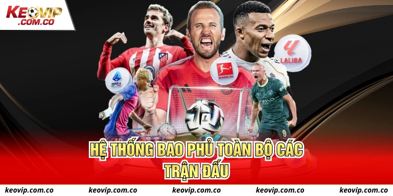 Hệ thống bao phủ toàn bộ các trận đấu