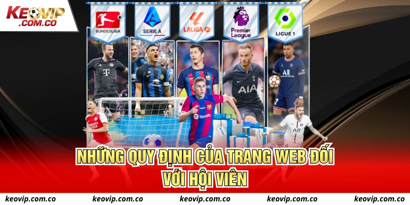 Những quy định của trang web đối với hội viên