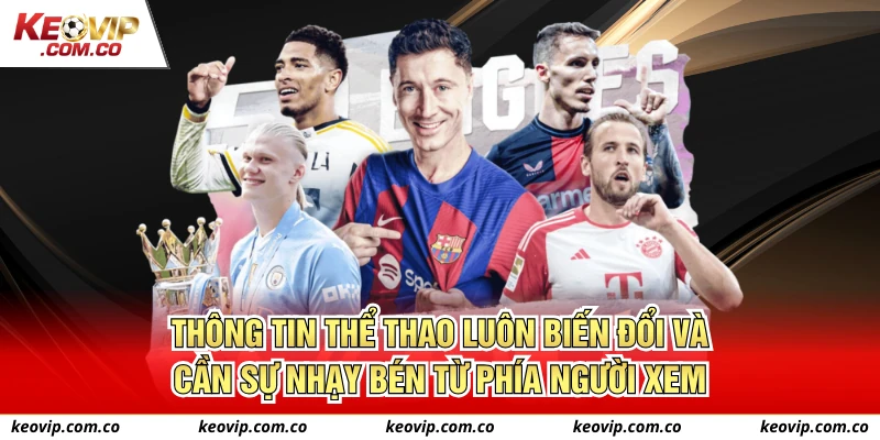 Thông tin thể thao luôn biến đổi và cần sự nhạy bén từ phía người xem